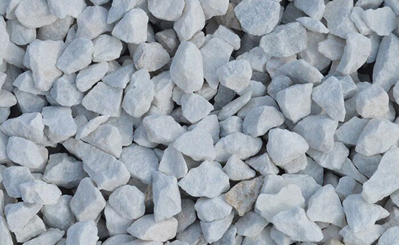 主要經(jīng)營項目