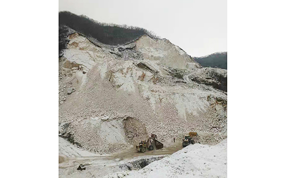 熱烈慶祝鞍山東盛源礦業(yè)有限公司網(wǎng)站正式成立！